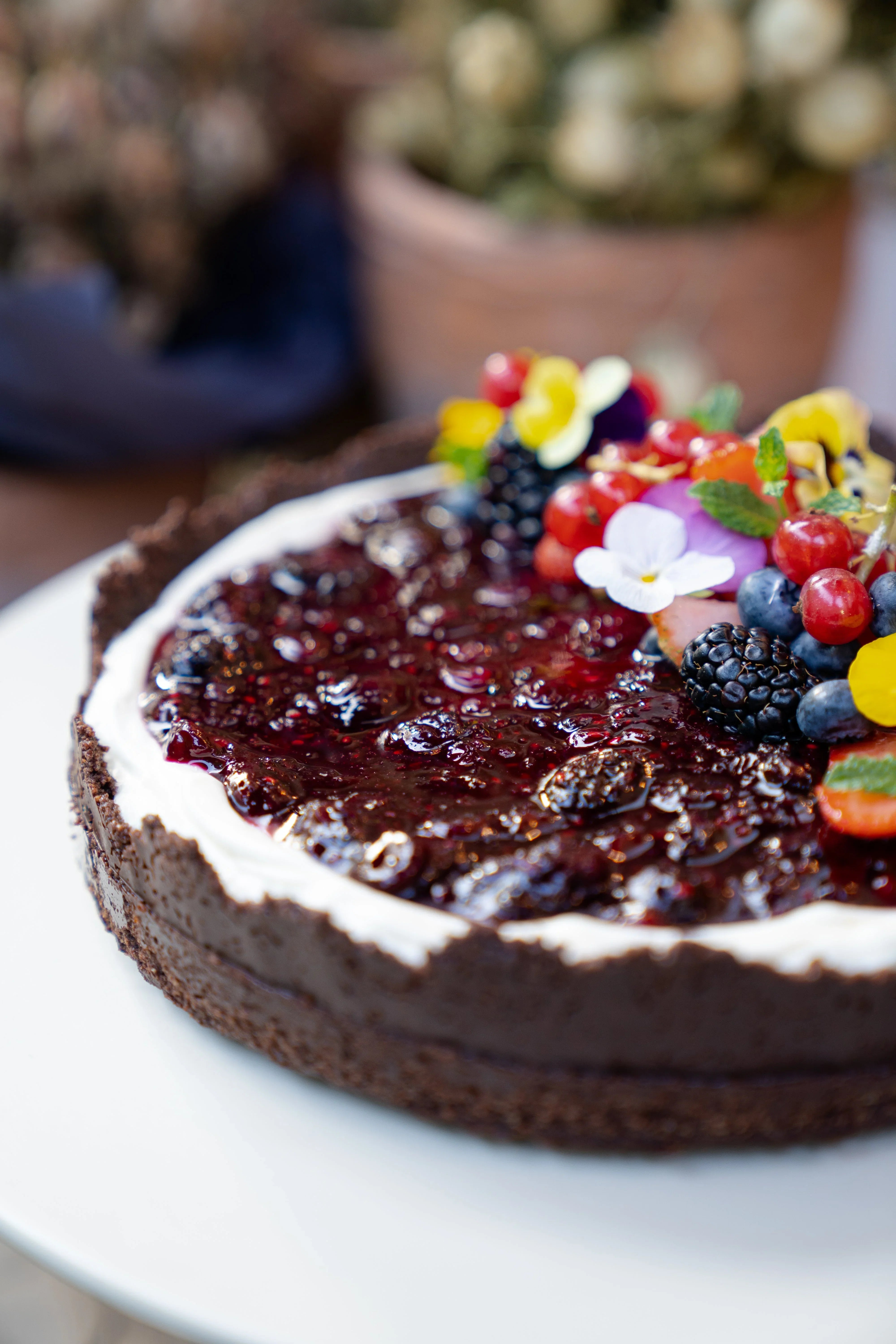Cheesecake al Cioccolato e Frutti di Bosco