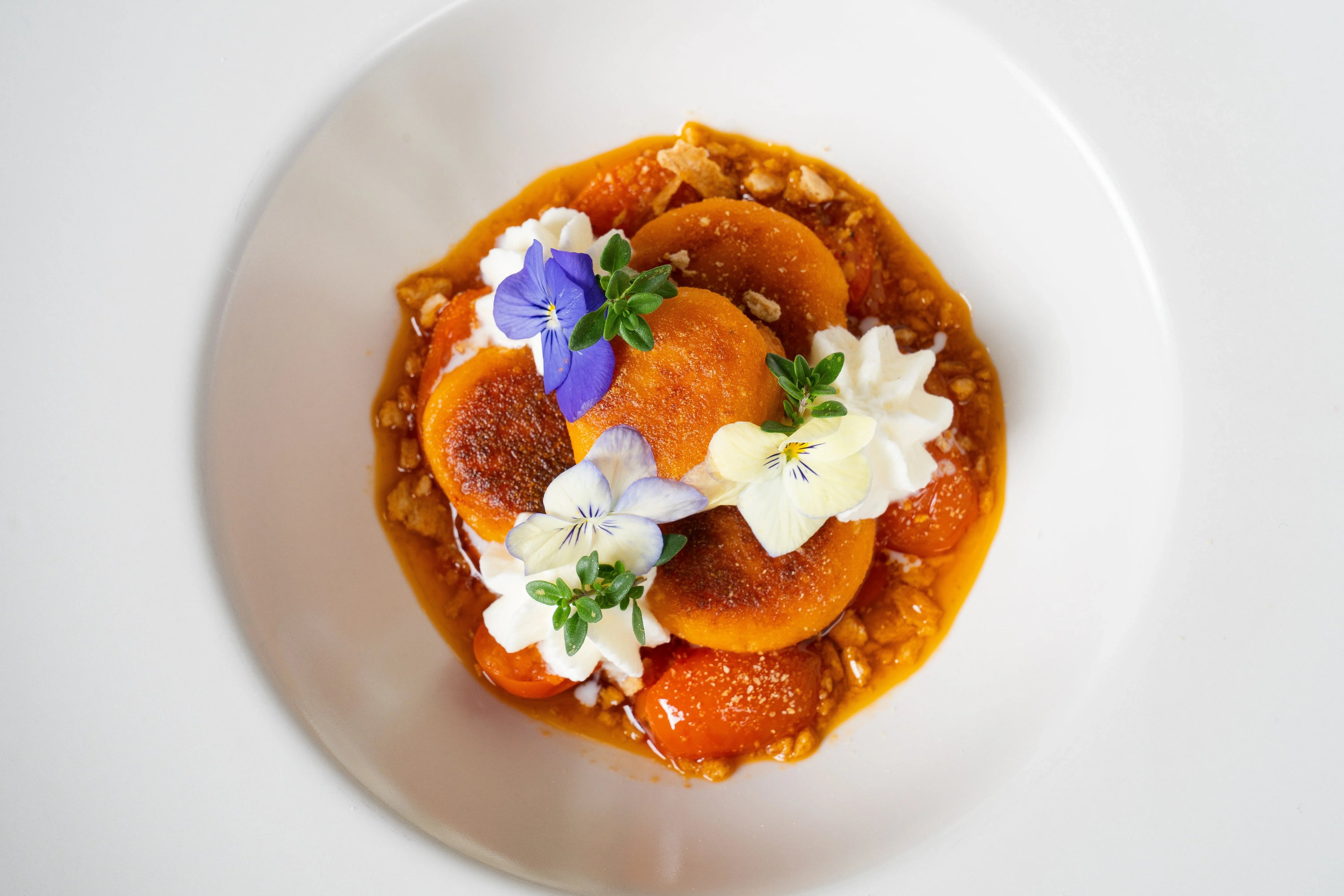 Gnocchi al Pomodoro con Spuma di Burrata e Basilico Cristallizzato - Matt. Nutre il tuo benessere