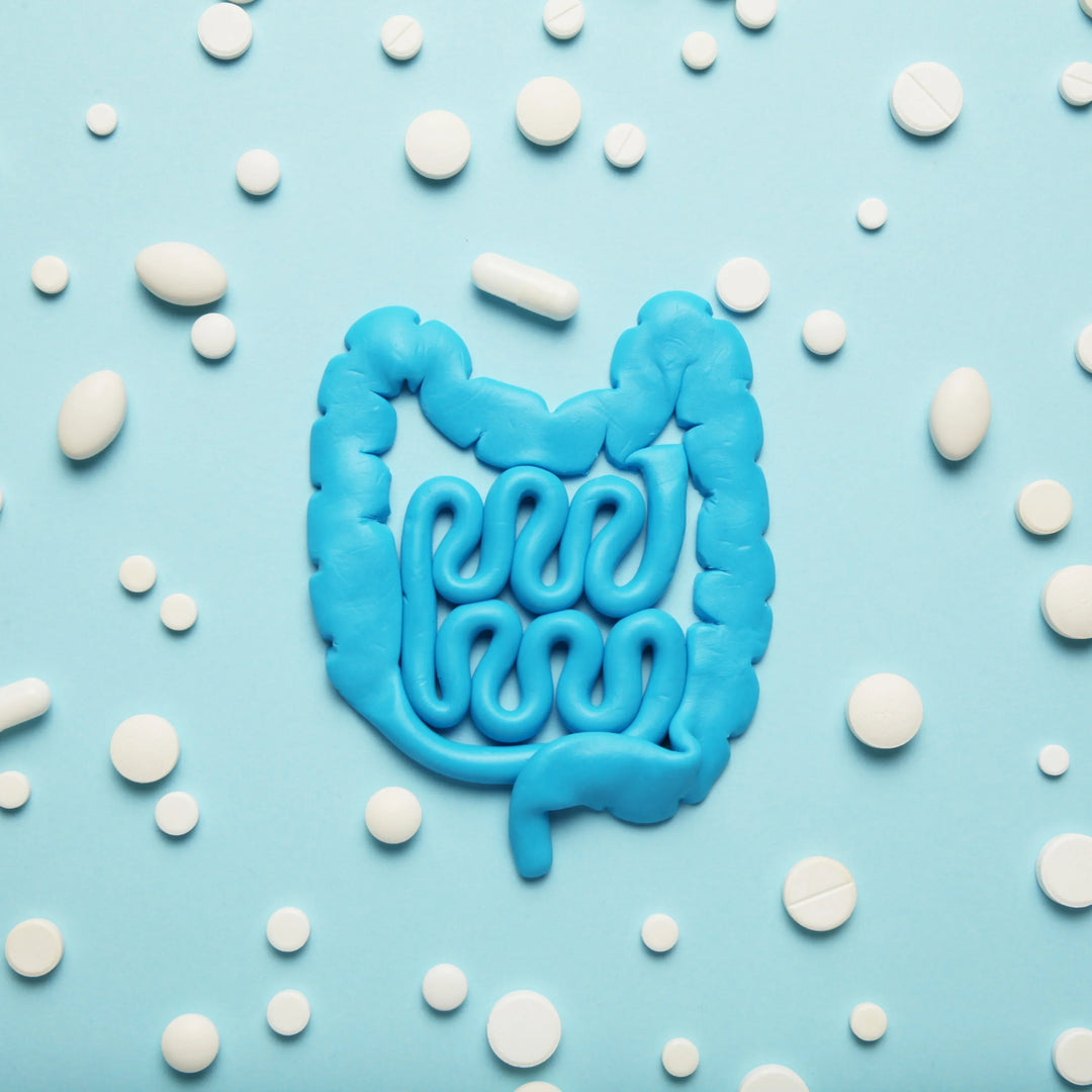 Fermenti lattici a cosa servono: perché sono importanti per l’equilibrio intestinale - Matt. Nutre il tuo benessere