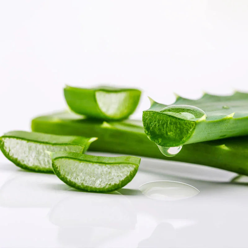I benefici dell'aloe per la pelle. Scoprili tutti!  Matt. Nutre il tuo  benessere