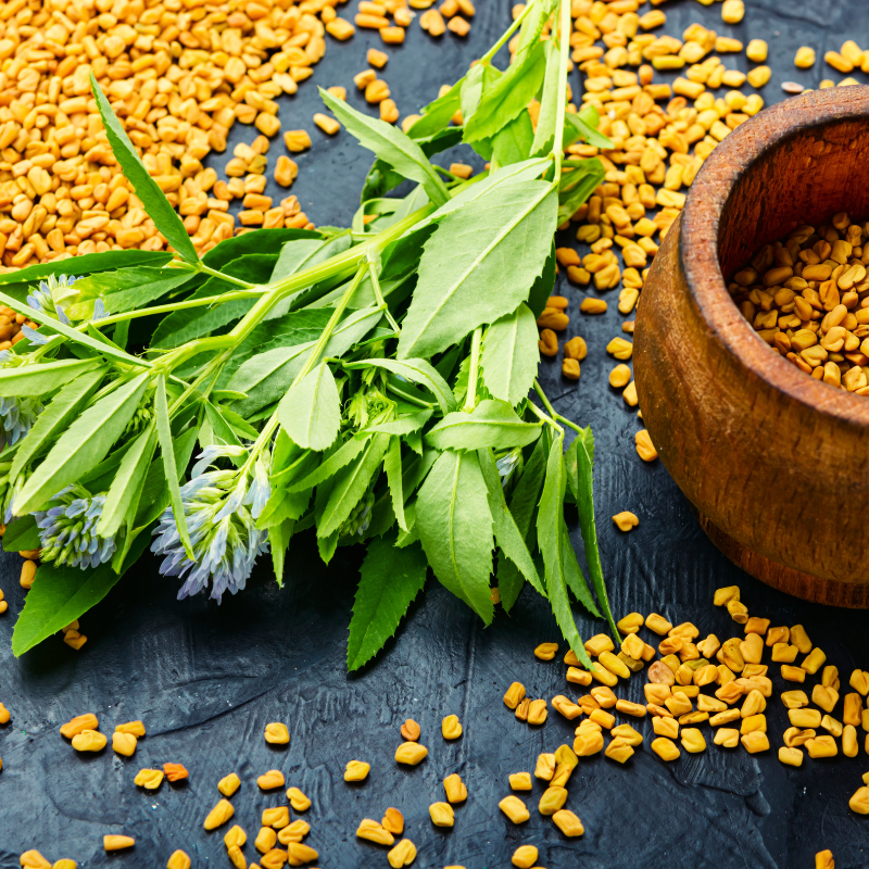 Semi di fieno greco Trigonella foenum-graecum su superficie di legno rustica