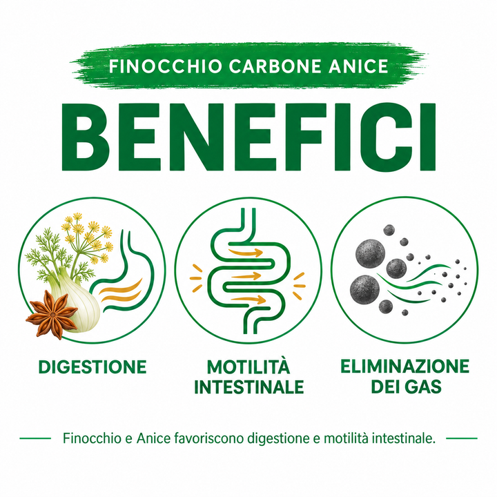 Finocchio carbone anice