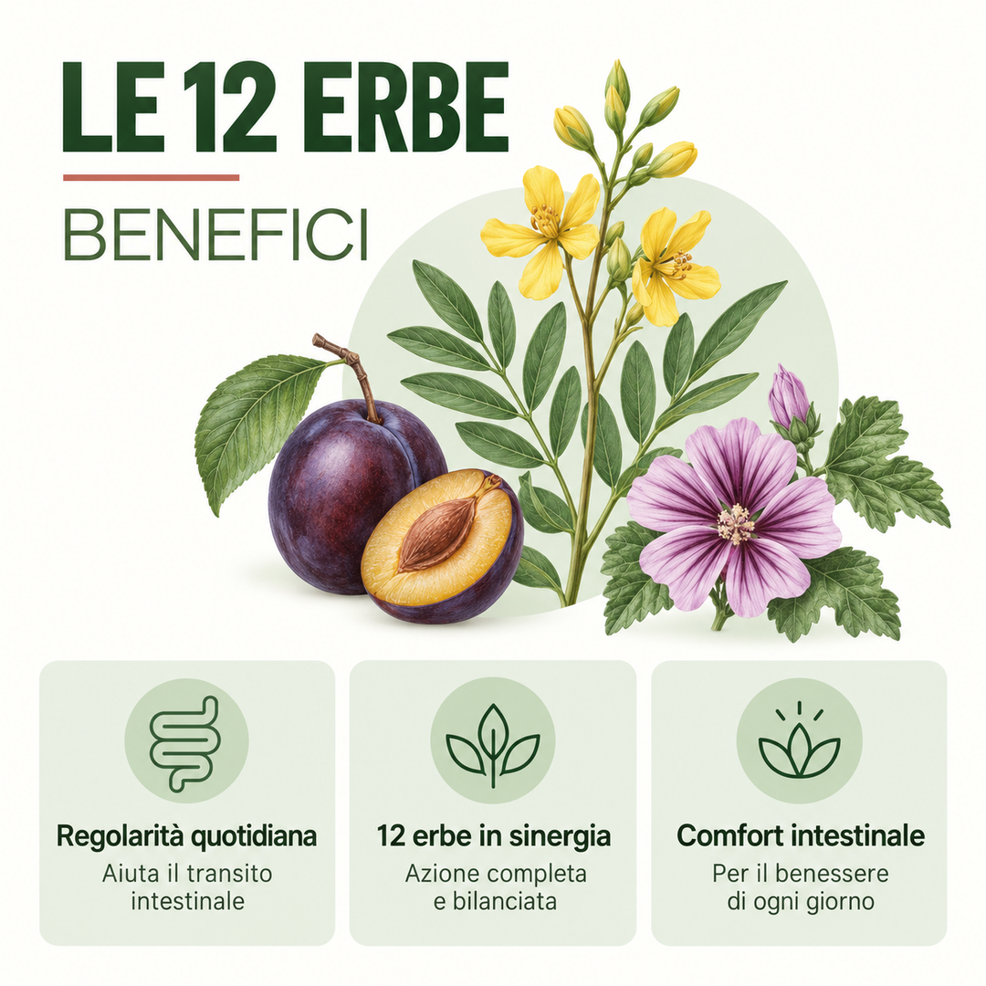 Le 12 Erbe Multipack 6 Mesi