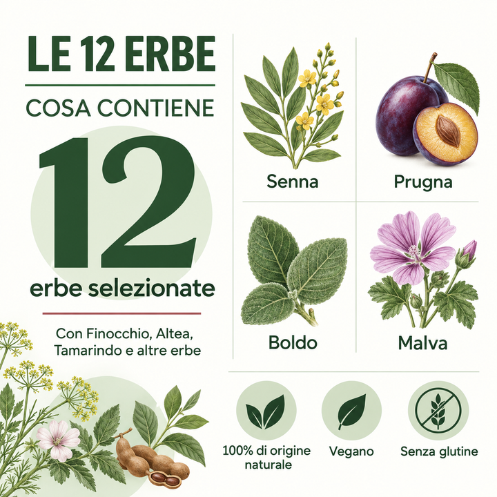 Le 12 Erbe Multipack 6 Mesi