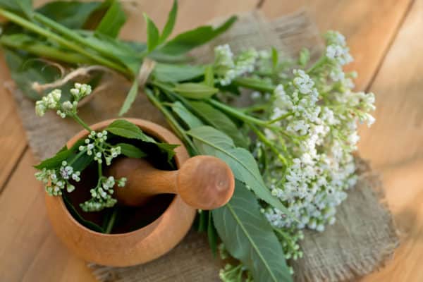 The benefits of Valerian and Hawthorn